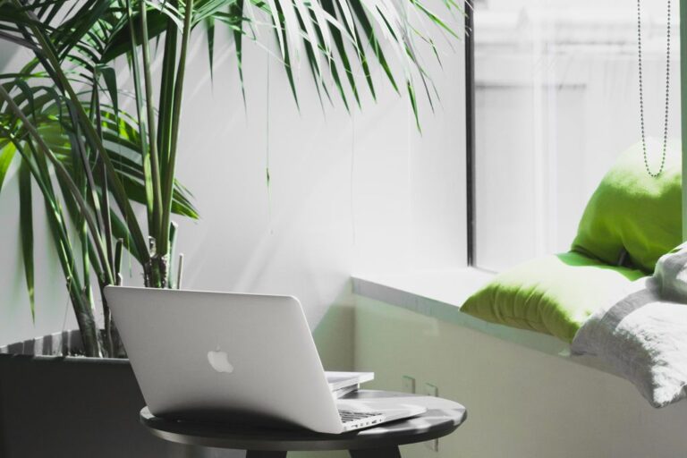 Understanding the hurdles MacOS Catalina imposed on IT Teams